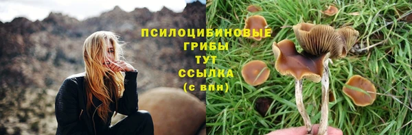 гидра Баксан